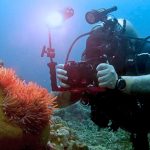 Куба Дайвинг