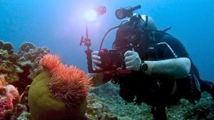 Куба Дайвинг