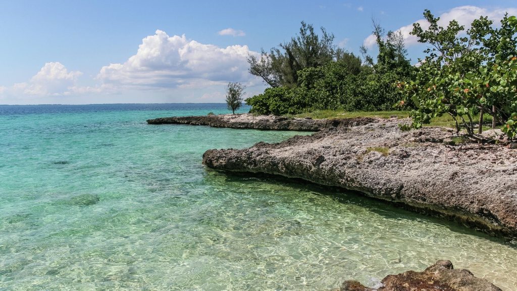 Куба Дайвинг Залив Свиней (Bahía de Cochinos)