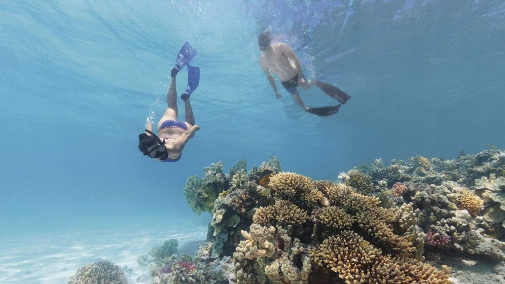 Куба снорклинг